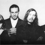 Pain Teens - List pictures