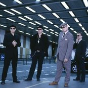 Madness - List pictures