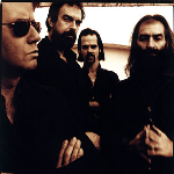 Grinderman - List pictures