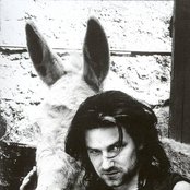 Bono - List pictures
