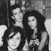 Live Skull - List pictures