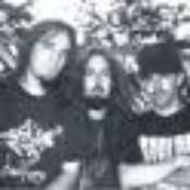 Nasty Savage - List pictures