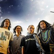 Greyhoundz - List pictures