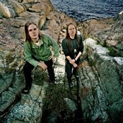 Vintersorg - List pictures