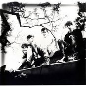 Pale Saints - List pictures