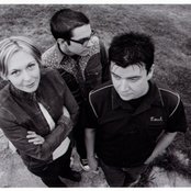 Paper Moon - List pictures