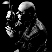Pitbull - List pictures