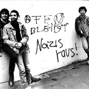 Kina - List pictures