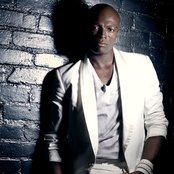 Seal - List pictures