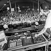 Griz - List pictures