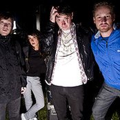 The Whip - List pictures