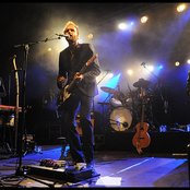 Admiral Freebee - List pictures