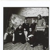 Dog Eat Dog - List pictures