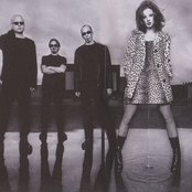 Garbage - List pictures