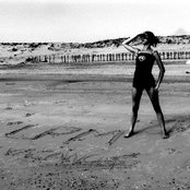 Le Prince Miiaou - List pictures