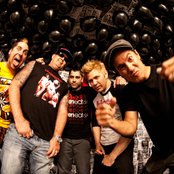 Zebrahead - List pictures