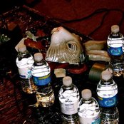 The Bunny The Bear - List pictures