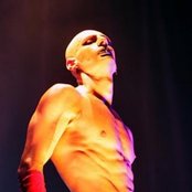 Adam - List pictures