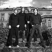 Phoenix - List pictures