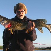 Brendan Perry - List pictures