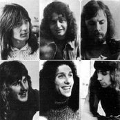 Rare Bird - List pictures