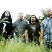 Torche - List pictures