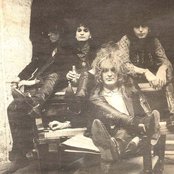 Dogs Damour - List pictures