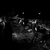 Pelican - List pictures