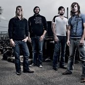 Ivoryline - List pictures