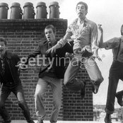 Sham 69 - List pictures