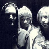 Amber Asylum - List pictures