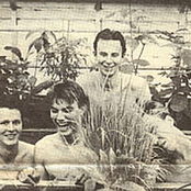 Minny Pops - List pictures