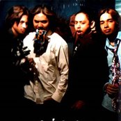 Kristal - List pictures