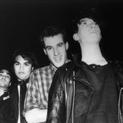 Flower - List pictures