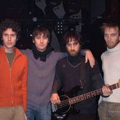 Elefantes - List pictures