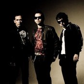 Skapulario - List pictures