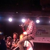 Diamond Rugs - List pictures