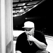 Mastino - List pictures