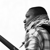 Me'shell Ndegéocello - List pictures