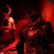 The Shake - List pictures