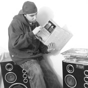 Rosa - List pictures