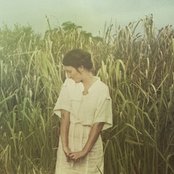 Taken By Trees - List pictures