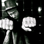 Warm Brew - List pictures