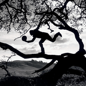 Tom Waits - List pictures