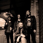 Nocturnal - List pictures