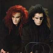 Dead Or Alive - List pictures