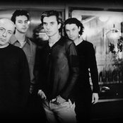 Bush - List pictures