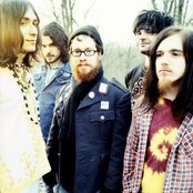 An Albatross - List pictures