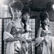 The Ronettes - List pictures