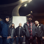 Obey The Brave - List pictures